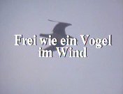 Frei wie ein Vogel im Wind titel.jpg