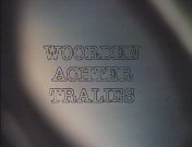 Woorden achter tralies titel.jpg