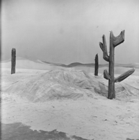 FTA001008187 008 con.png