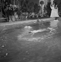 FTA001024683 006 con.png