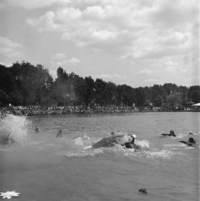 FTA001031752 015 con.png