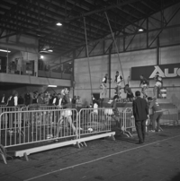 FTA001005228 006 con.png