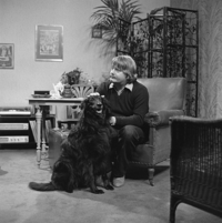 FTA001013226 015 con.png