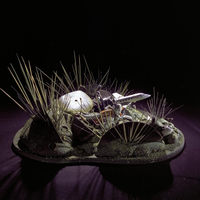 FTA001037016 004 con.png