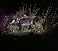 FTA001037016 001 con.png