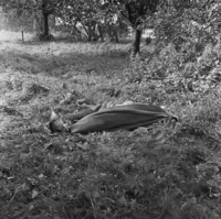 FTA001009823 015 con.png