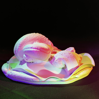 FTA001037011 002 con.png