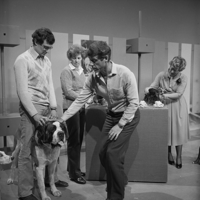 FTA001022761 007 con.png