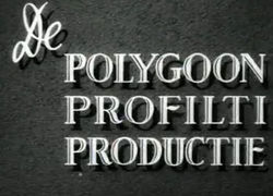 Polygoon Profilti Productie.jpg