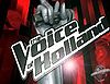 The voice of Holland (titel).jpg