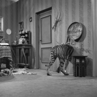 FTA001005200 003 con.png