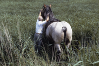 FTA001053944 020 con.png