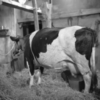 FTA001005985 006 con.png