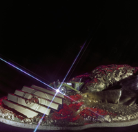 FTA001037016 010 con.png