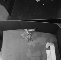 FTA001029364 001 con.png