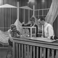 FTA001005936 003 con.png