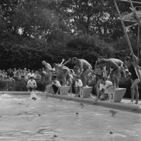 FTA001012494 021 con.png