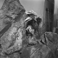 FTA001007314 003 con.jpg