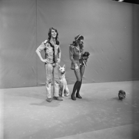 FTA001016413 014 con.png