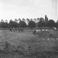 FTA001010157 009 con.png