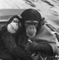 FTA001009789 022 con.png