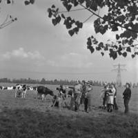 FTA001019819 004 con.png