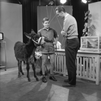 FTA001000023 011 con.png