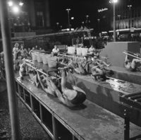 FTA001013842 009 con.png