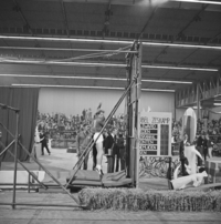 FTA001005104 008 con.png