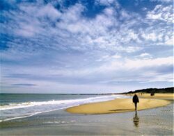 Film DE KUST NATUURLIJK.jpg