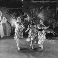 FTA001005924 019 con.png