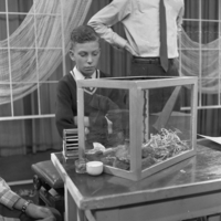 FTA001005936 006 con.png