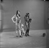 FTA001016413 013 con.png