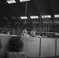 FTA001014272 007 con.png