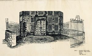 Vrouwtje Bezemsteel 4.jpeg