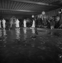 FTA001024679 005 con.png