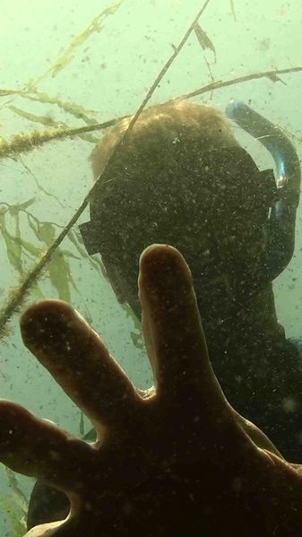 Bestand:Snorkelen verhoeff.jpg