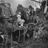 FTA001007314 001 con.jpg