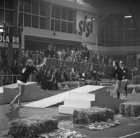 FTA001014274 001 con.png