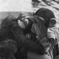 FTA001009789 021 con.png