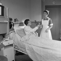 FTA001000009 004 con.png