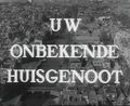 Miniatuurafbeelding voor de versie van 3 jul 2008 06:58
