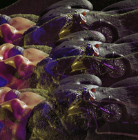 FTA001037017 007 con.png