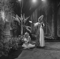 FTA001029288 019 con.png