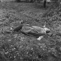 FTA001009823 013 con.png