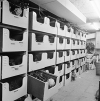 FTA001016350 018 con.png