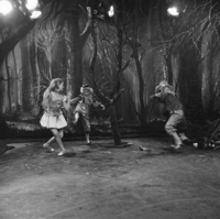 FTA001029288 013 con.png