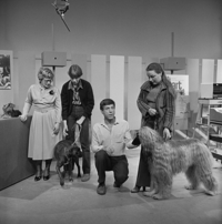 FTA001022761 005 con.png