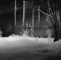 FTA001029363 007 con.png