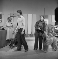 FTA001022761 008 con.png